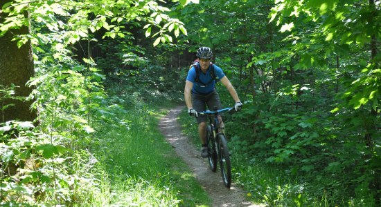 Mountainbikers in Solling-Vogler onderweg, © Solling-Vogler-Region