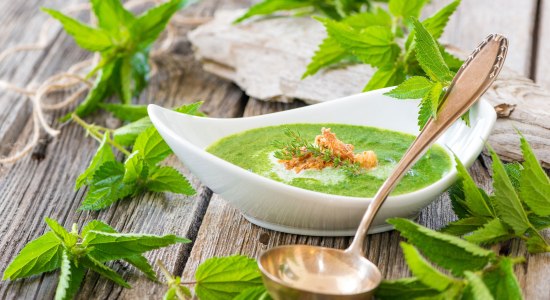 Brandnetelsoep gegarneerd met verse brandnetels, © Fotolia