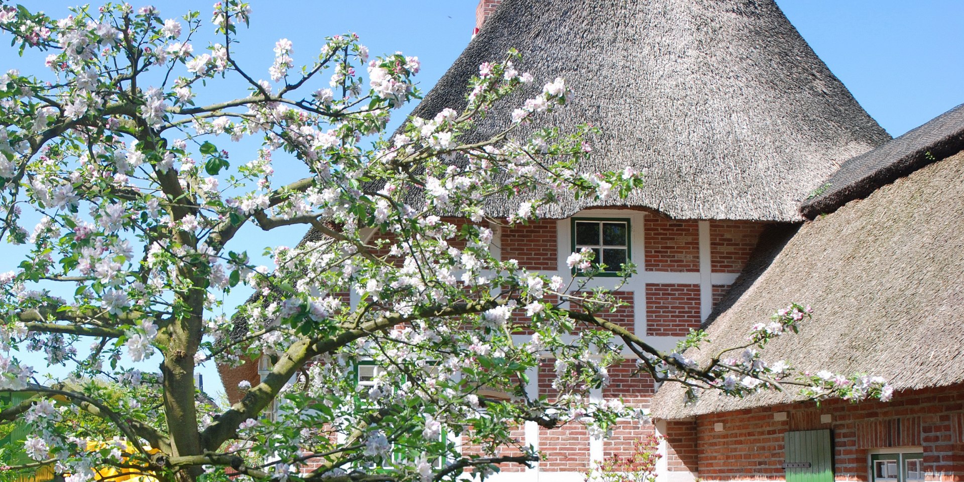 Rieten huis in Cuxland, © Cuxland-Tourismus / Bernd Schlüsselburg