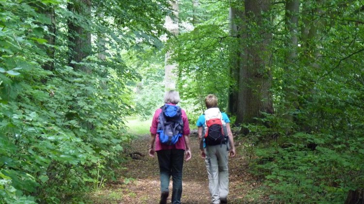 Kuhmühler forest, © Touristikverband Landkreis Rotenburg (Wümme)  e.V./ Udo Fischer/ Petra Welz