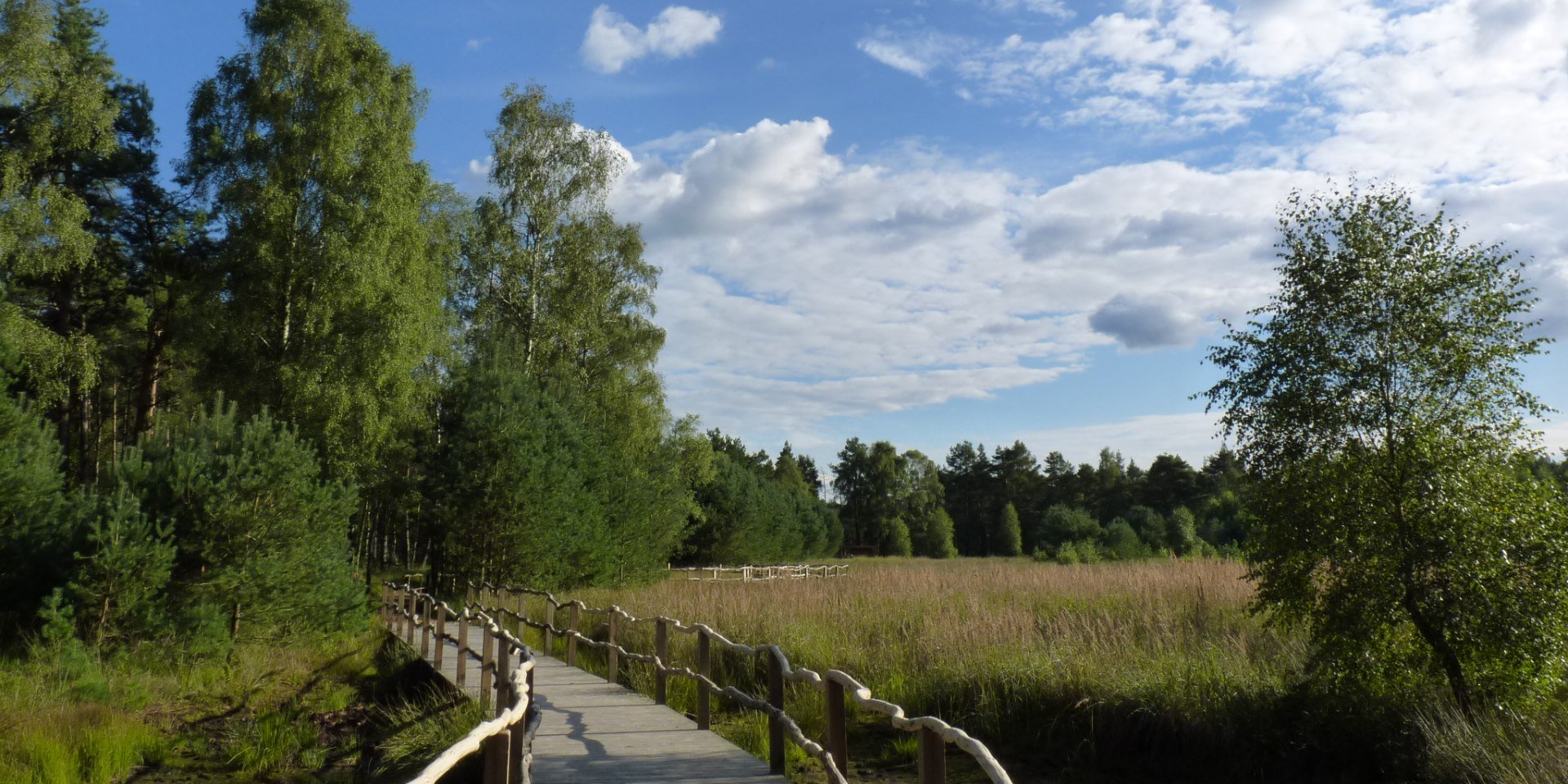 Voetgangersbrug door de Dör't Moor, © Touristikverband Landkreis Rotenburg (Wümme)