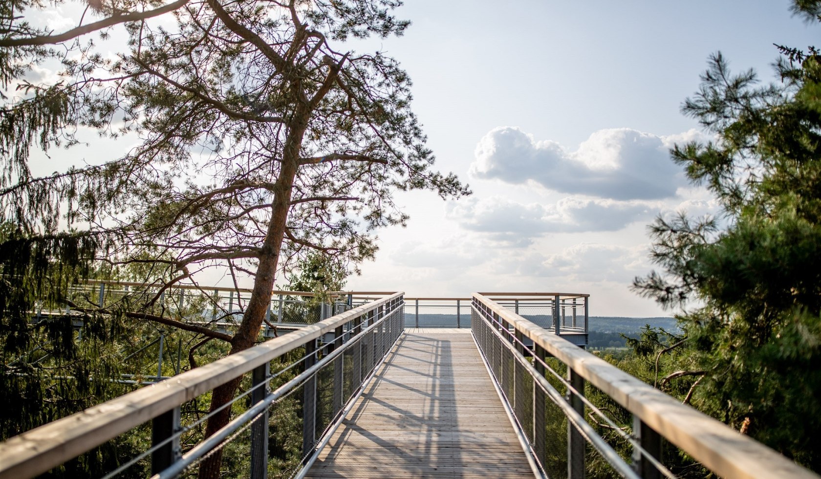 Baumwipfelpfad umrandet von Bäumen, © Weitblick Tietz GmbH & Co. KG / Adrian Föhl