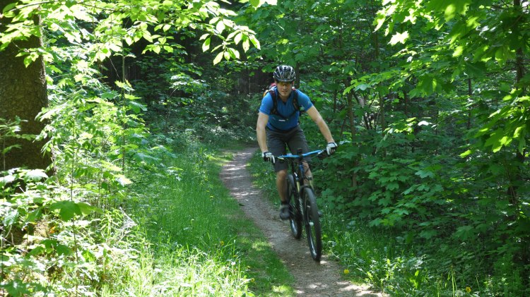 Mountainbikers in Solling-Vogler onderweg, © Solling-Vogler-Region Mountainbikers in Solling-Vogler onderweg, © Solling-Vogler-Region
