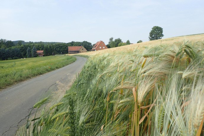 Friedensroute Münster-Osnabrück, © Tourismusverband Osnabrücker Land e.V.