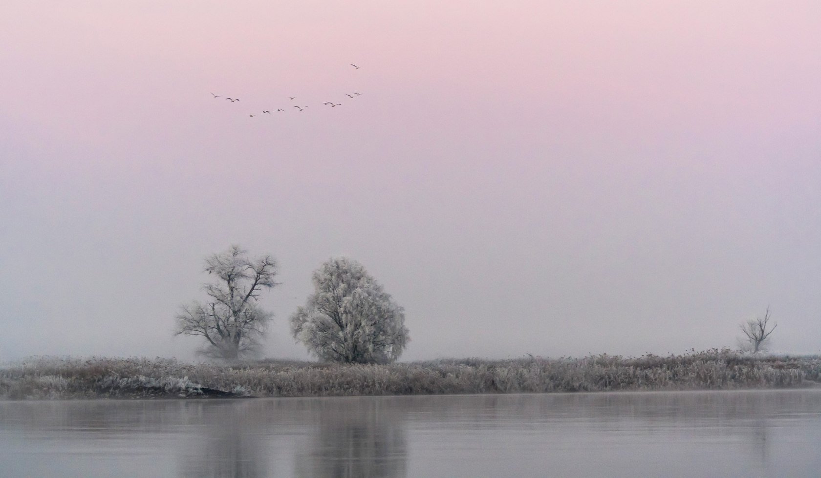 Elbe in de winter met ochtendstemming, © TourismusMarketing Niedersachsen GmbH / Dieter Damschen