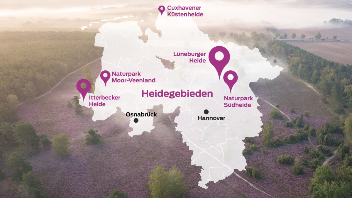 Grafisch overzicht van de heidelandschappen in Nedersaksen, © TourismusMarketing Niedersachsen GmbH / Lüneburger Heide GmbH
