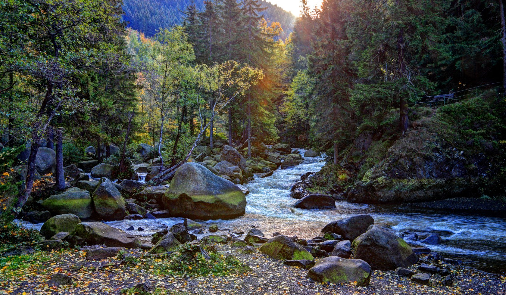 Rivier in het Harz gebergte 