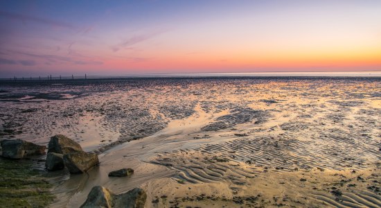 Watts noorddijk, © Tourismus-Service Norden-Norddeich / Angelika Erdmann
