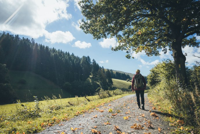 Wandelen in de Weserbergland, © TourismusMarketing Niedersachsen GmbH / German Roamers / Johannes Becker