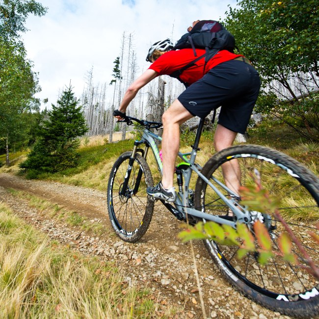 Mountainbiker rijdt op een onverharde weg, © TMN/Maruba b.V. Sports Publishers