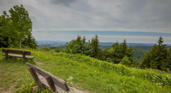 Uitzicht op de Harz, © TMN / Markus Balkow