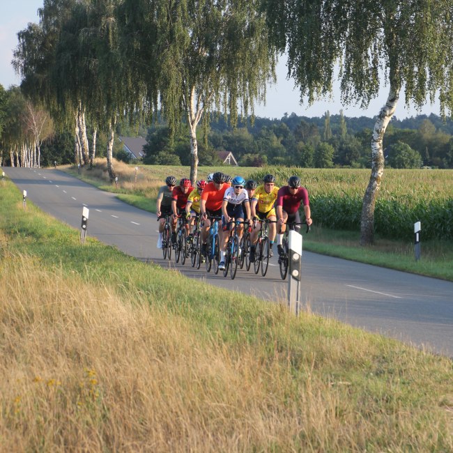 Racefiets groep op de weg, © TourismusMarketing Niedersachsen GmbH