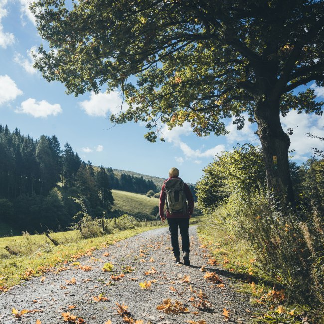 Wandelen in de Weserbergland, © TourismusMarketing Niedersachsen GmbH / German Roamers / Johannes Becker