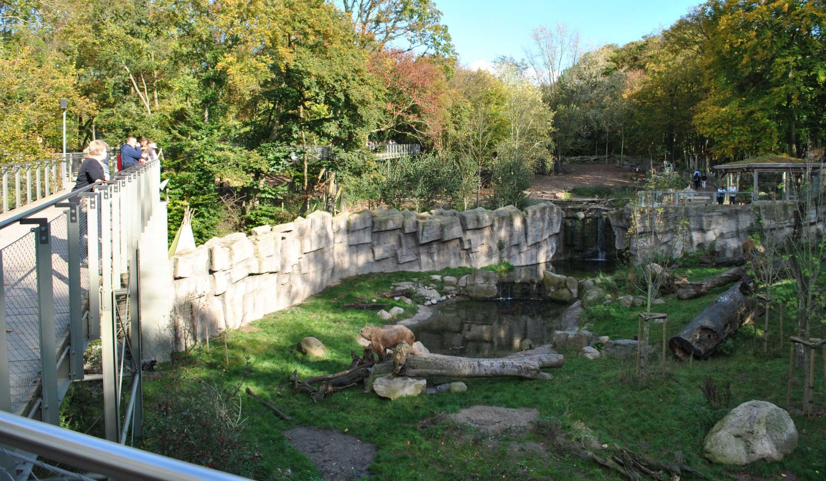 Hybride beren: een mengeling van ijsberen en bruine beren, © Zoo Osnabrück