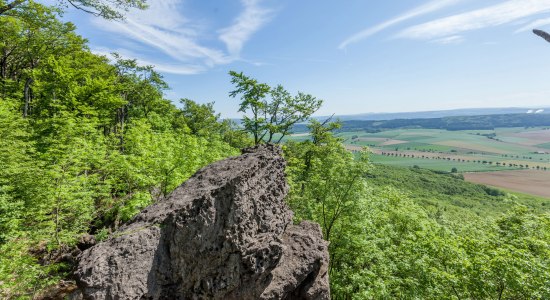 vooruitzicht Ith-Hils-Weg, © Tourismuszentrale östliches Weserbergland