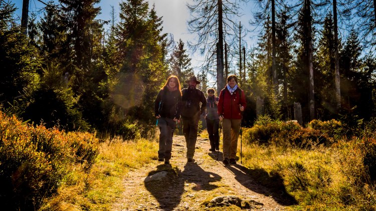 wandelen in de Nationaal park Harz, © Nationalpark Harz / dietrichkuehne.com