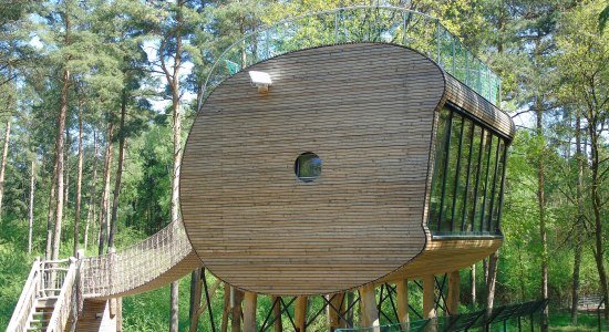 Tree Inn, © Tree Inn Tree Inn, © Tree Inn