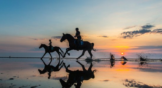 Paardrijden in Cuxhaven, © Nordseeheilbad Cuxhaven GmbH