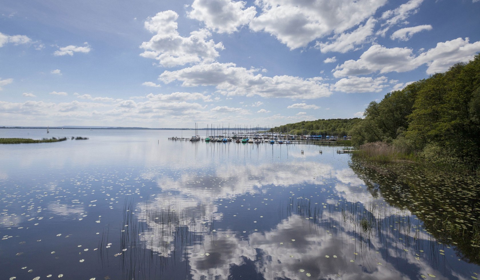 Gezicht op het Steinhuder Meer, rechts zeilboten aan de ligplaatsen, © Naturpark Steinhuder Meer, Region Hannover/ Claus Kirsch