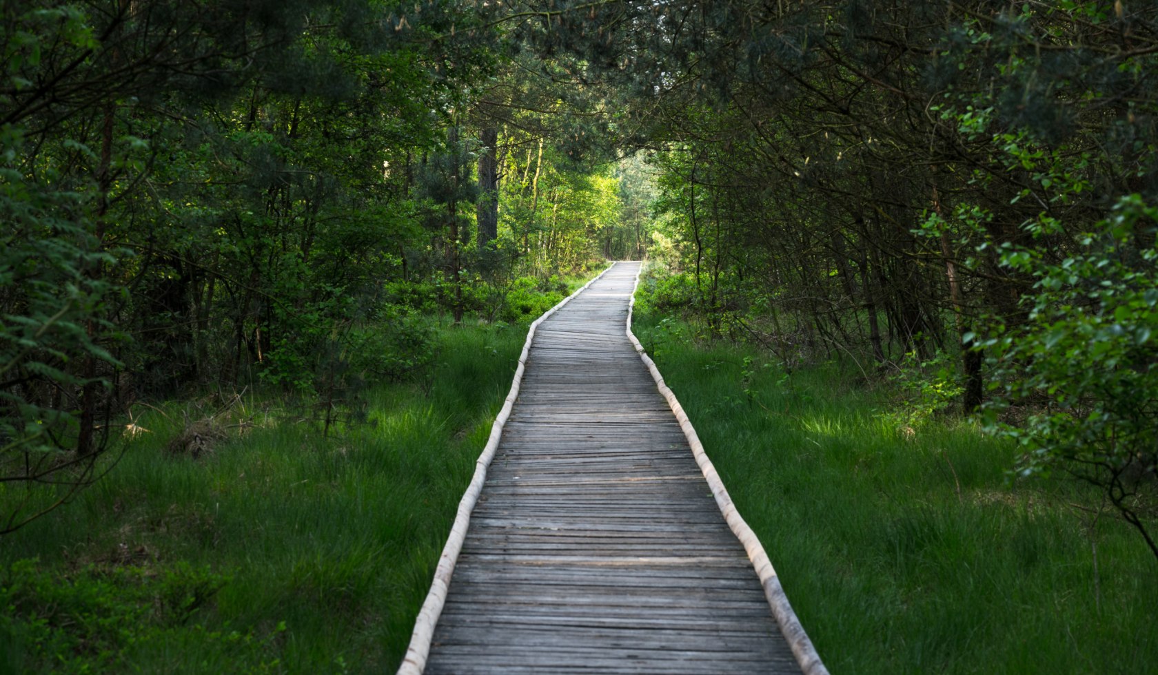 De promenade in de Pietzmoor, © TMN/Alex Kaßner