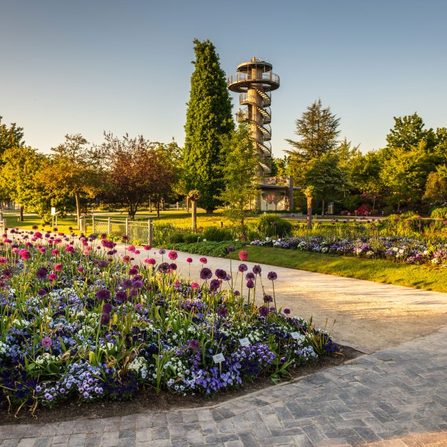 Uitkijktoren in het tuinpark van Bad Zwischenahn , © TMN/Markus Tiemann