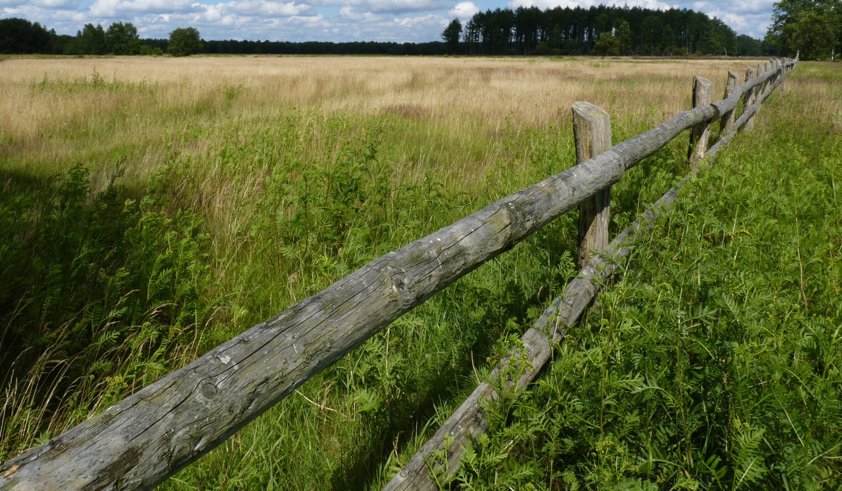 Weide am Dör't Moor, © Touristikverband Landkreis Rotenburg (Wümme)