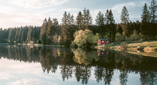 Uitzicht op de Ziegenbach vijver met blokhut, © TourismusMarketing Niedersachsen GmbH / Tim Küster