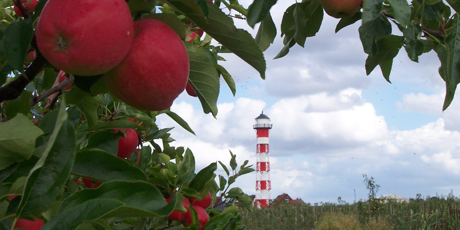 Vuurtoren omkaderd door appelbomen, © Tourismusverband Landkreis Stade