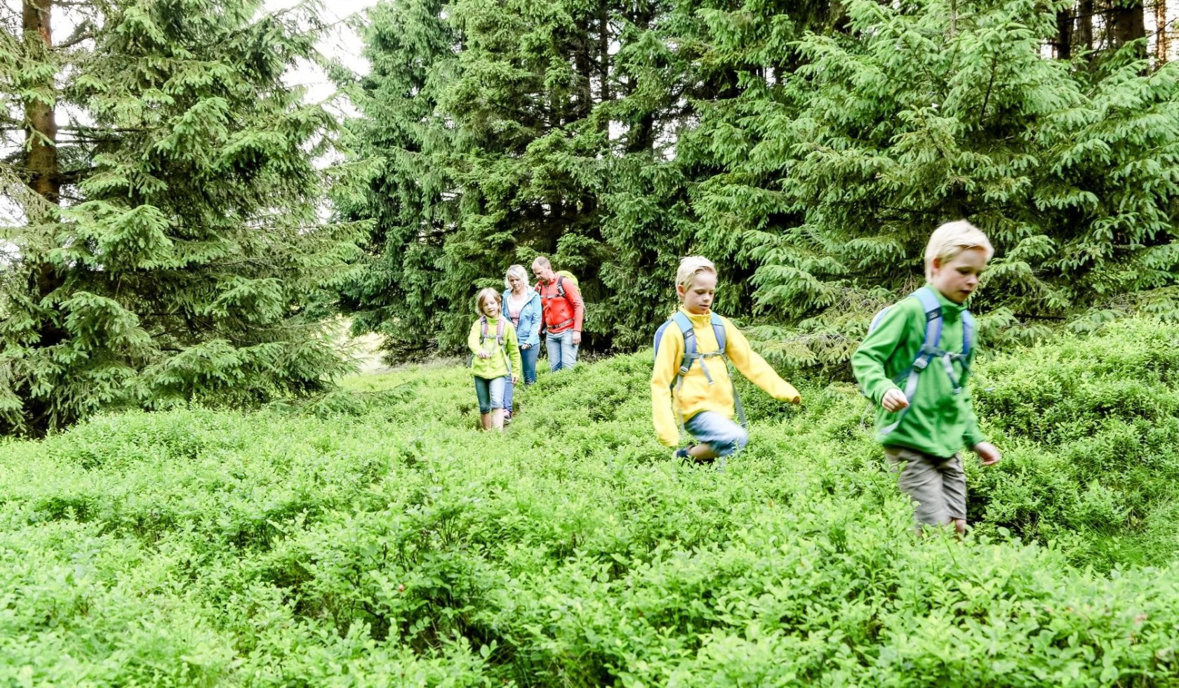 Familie auf Wanderung, © Tourismus- und Wirtschaftsbetriebe der Stadt Bad Harzburg GmbH