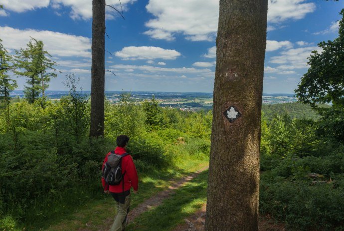 Ahornweg, © Natur- und Geopark TERRA.vita