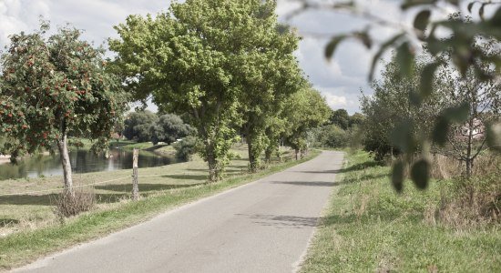 Aller-Radweg, © Tourismusregion Aller-Leine-Tal / Mirko Krenzel