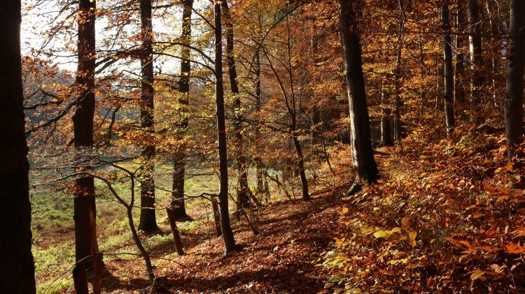 Waltersbachtal, © GeTour GmbH