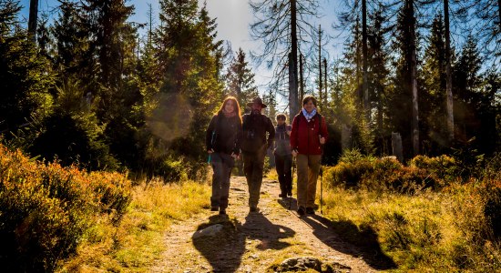 wandelen in de Nationaal park Harz, © Nationalpark Harz / dietrichkuehne.com