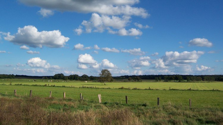 Wümme-Radweg, © Touristikverband Landkreis Rotenburg zwischen Heide und Nordsee e.V./ P. Welz