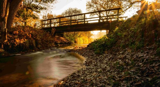 Brug bij de rivier, © Touristikverband Landkreis Rotenburg (Wümme) e.V. / Björn Wengler