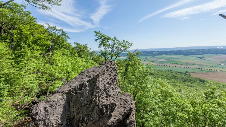 vooruitzicht Ith-Hils-Weg, © Tourismuszentrale östliches Weserbergland