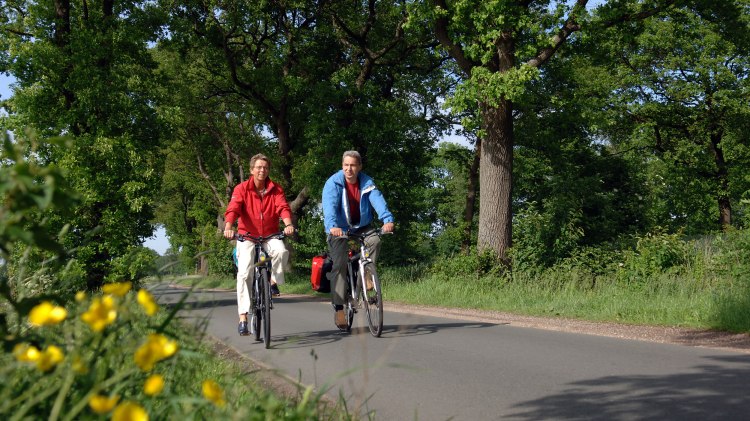 Fietser op laan, © Ammerland-Touristik / Tobias Trapp