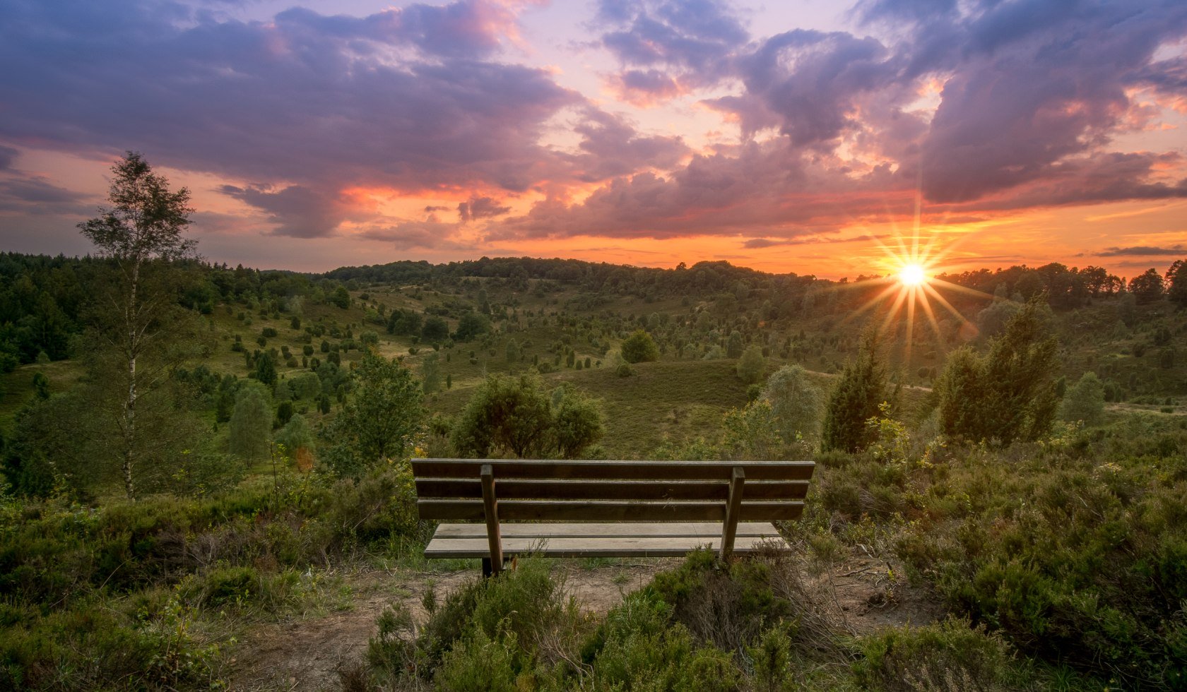 Gezicht op Totengrund bij zonsondergang in de Lüneburger Heide , © TMN/Alexander Kaßner