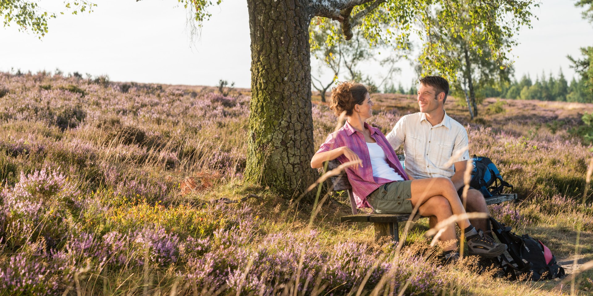 Brunsberg, © Lüneburger Heide GmbH / Dominik Ketz