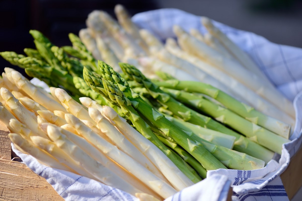 asperges, © TMN/Francesco Carovillano