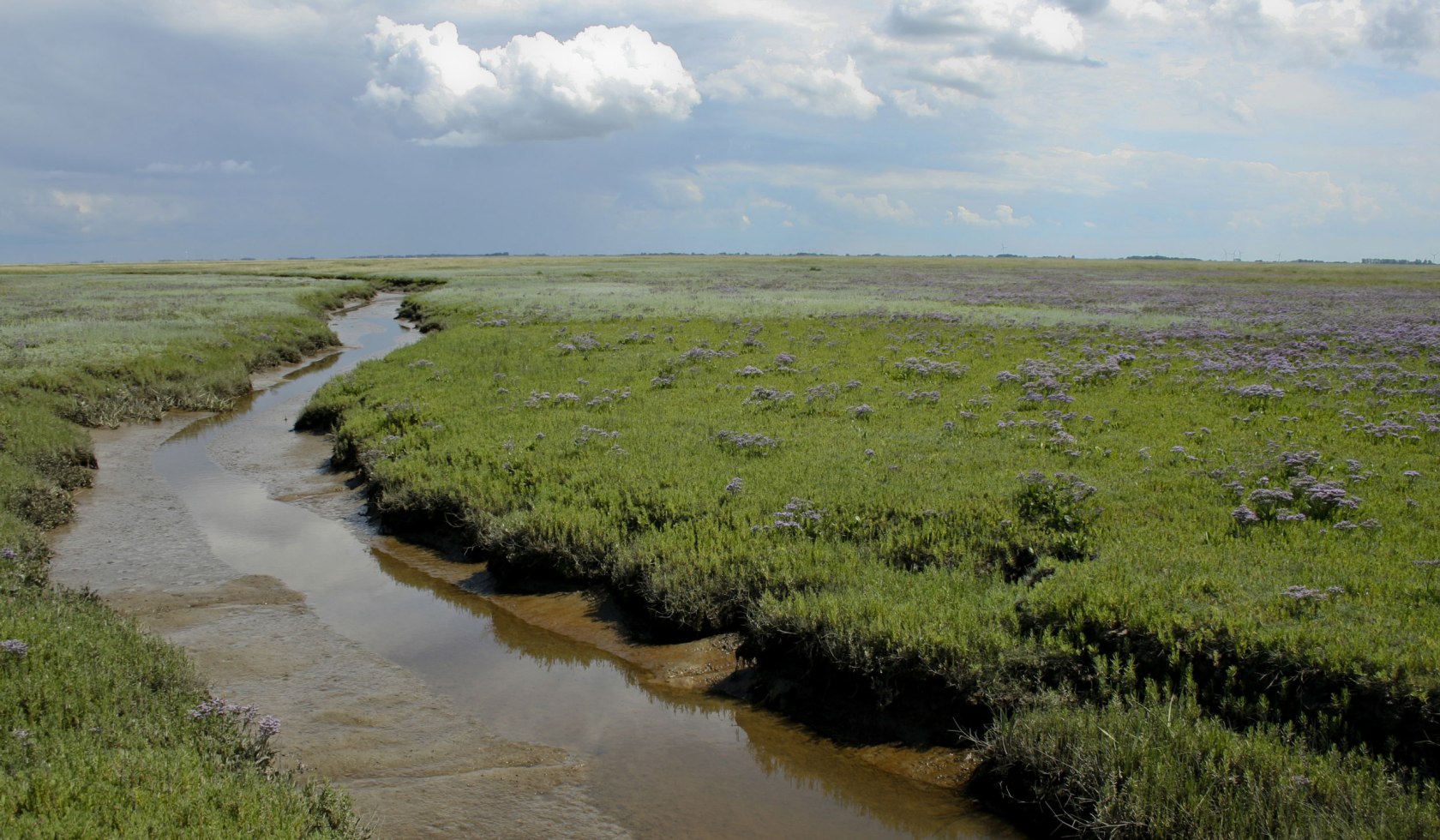 Narrow Channel, © Nationalparkverwaltung Niedersächsiches Wattenmeer