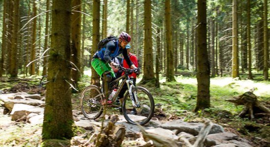 Mountainbiker rijden over een moeilijk parcours in het Hahnenklee Bike Park, © Board 'n Bikes