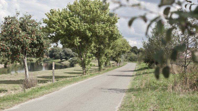 Aller-Radweg, © Tourismusregion Aller-Leine-Tal / Mirko Krenzel