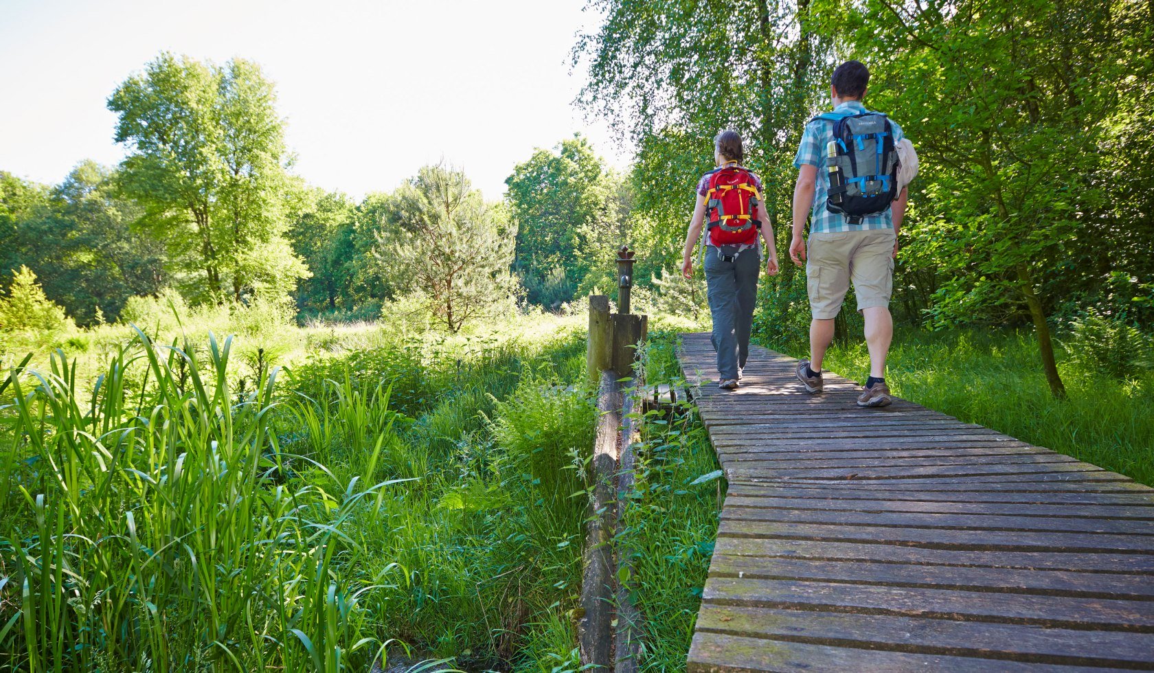 Wandelen in de provincie Bentheim NL, © Grafschaft Bentheim / Schubert