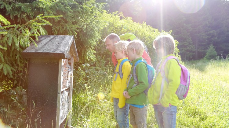 Wandelen in de Harz, © Stadtmarketing Bad Harzburg