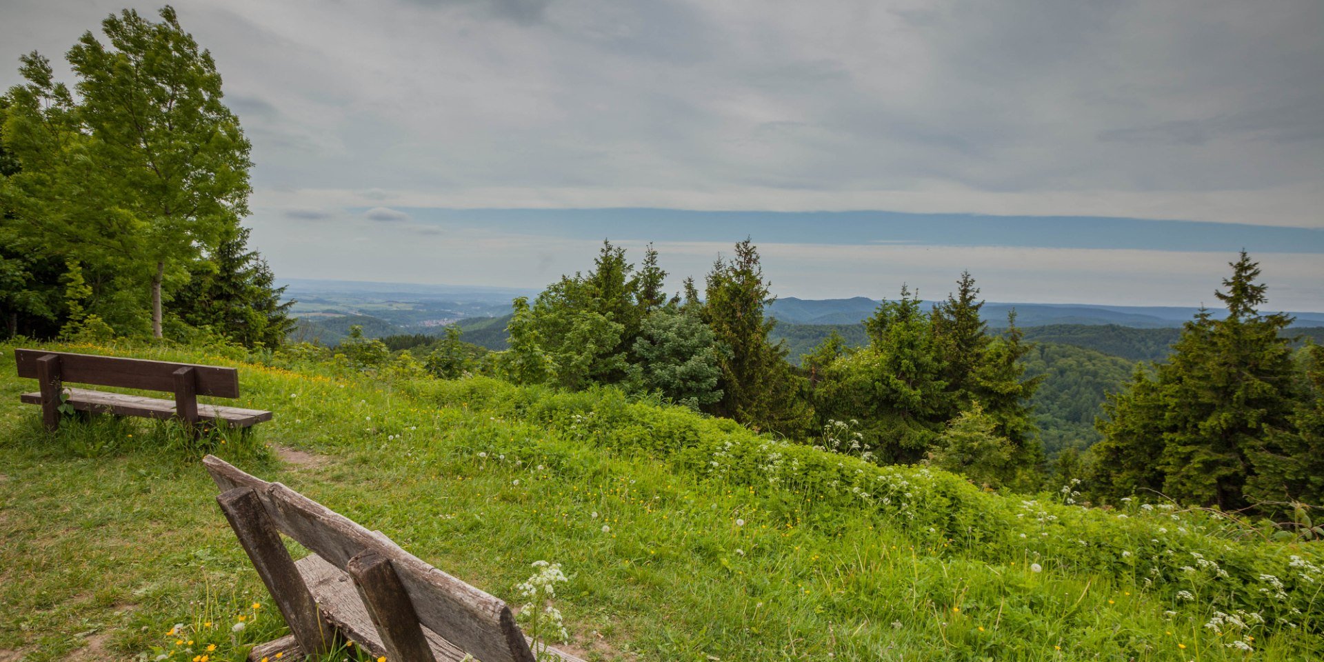 Uitzicht op de Harz, © TMN / Markus Balkow