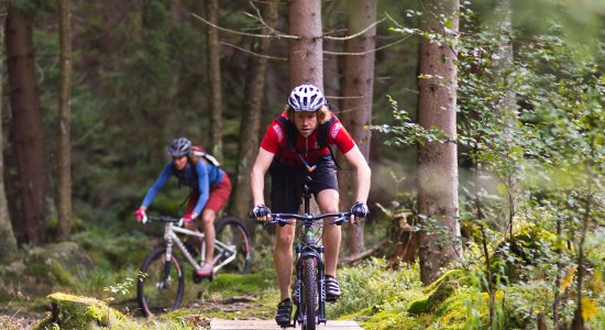 Mountainbikers op een enkel parcours, © Maruba b.V. Sports Publishers