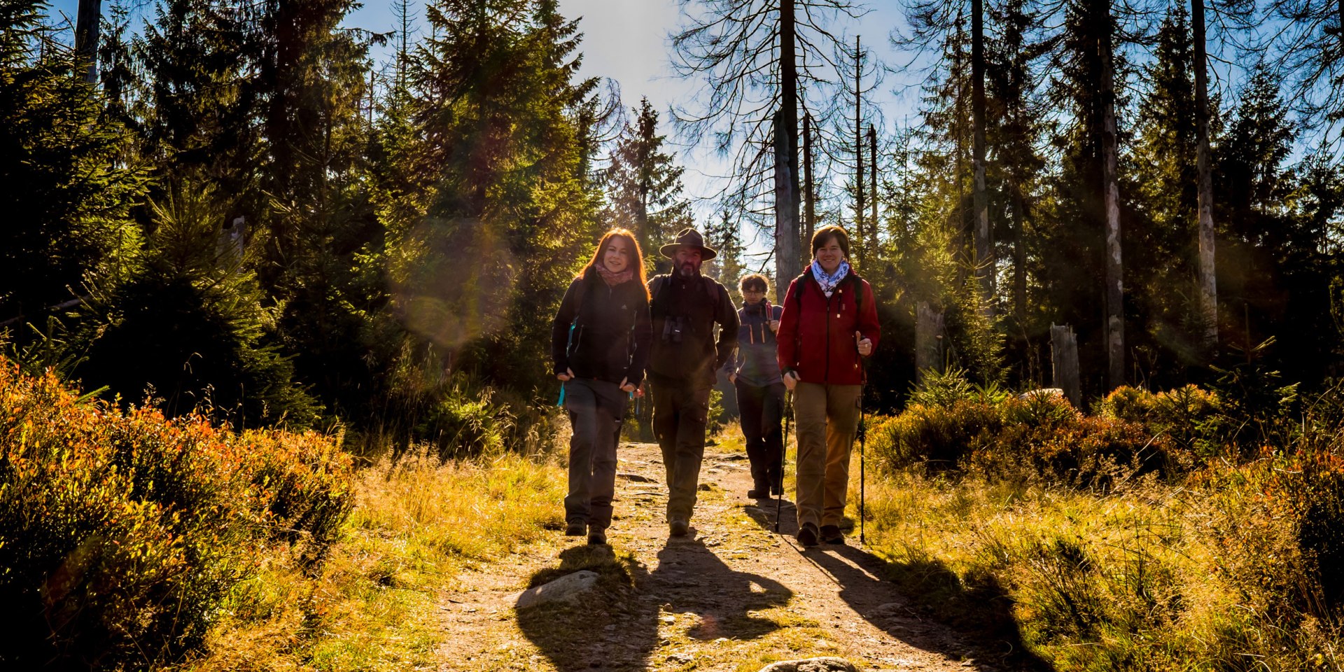 wandelen in de Nationaal park Harz, © Nationalpark Harz / dietrichkuehne.com