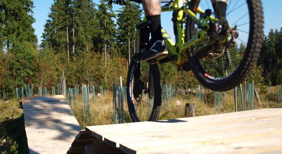 Bestuurder op een houten hellingbaan in het Bikepark St. Andreasberg, © www.msb-x-trail.de