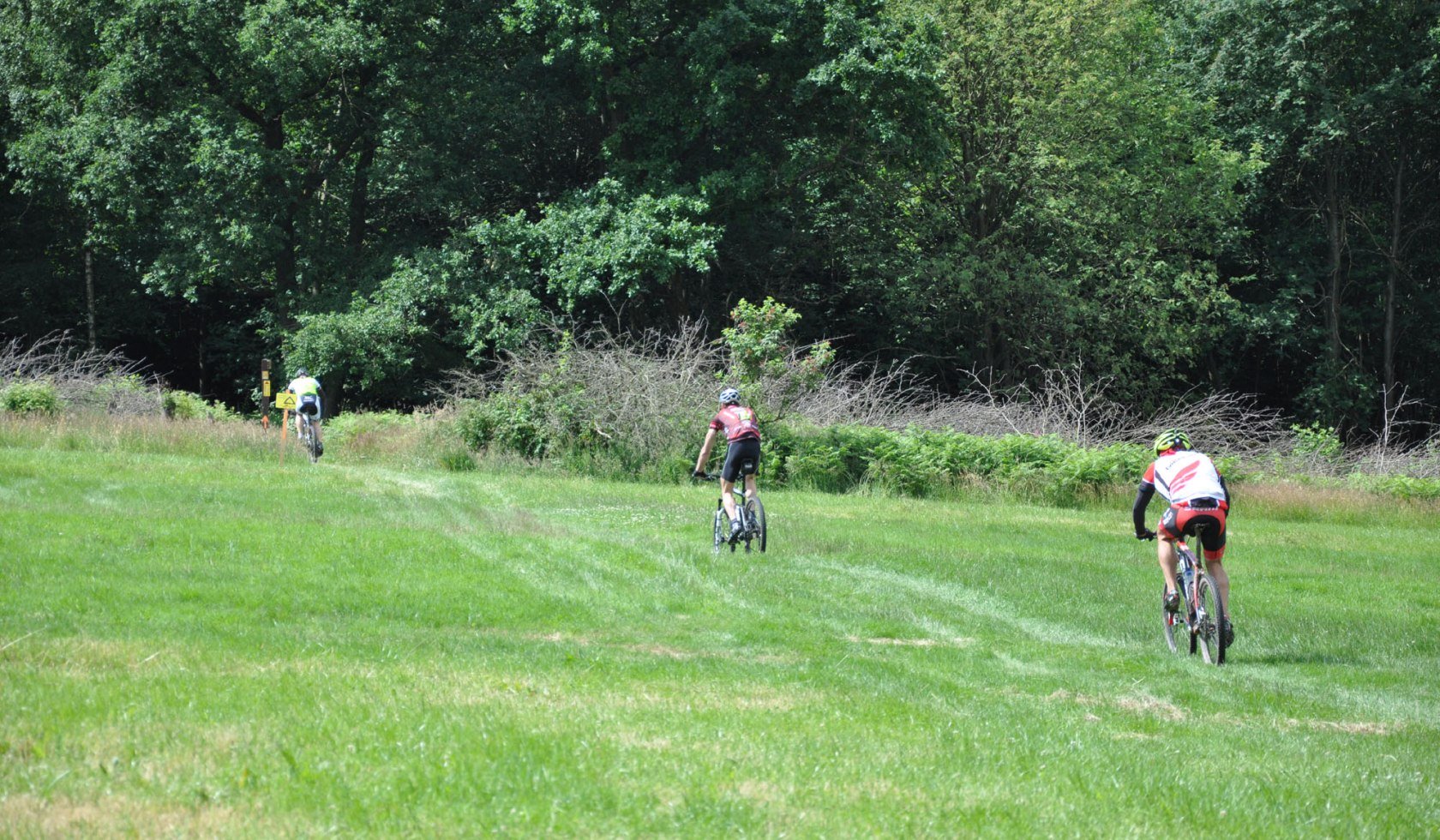 Mountainbike Wiese, © Solling-Vogler-Region